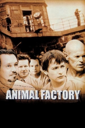 Animal Factory (2000) Dual Audio | Hindi Full Movie BluRay [950MB]