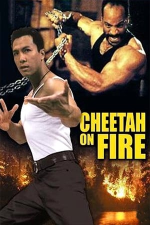 Cheetah on Fire 1992 Dual Audio | Hindi Full Movie Web-DL 290MB