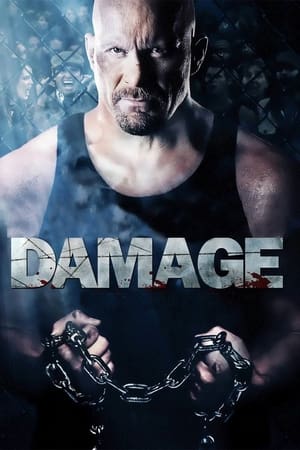 Damage 2009 Dual Audio | Hindi Full Movie BluRay [970MB]