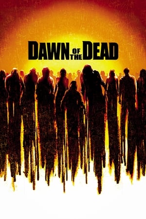 Dawn of the Dead (2004) Dual Audio Movie | Hindi Full Movie BluRay - 1GB