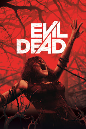 Evil Dead 2013 Dual Audio | Hindi Full Movie BluRay 300MB
