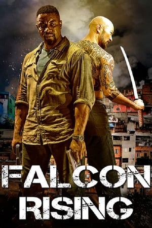 Falcon Rising (2014) Dual Audio | Hindi Full Movie BluRay [980MB]