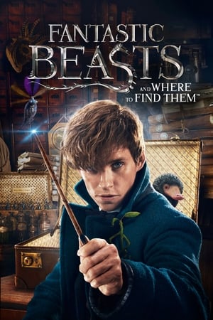 Fantastic Beasts and Where to Find Them 2016 Dual Audio () BluRay | Hindi Full Movie [1.1 GB]