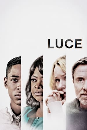 Luce 2019 Dual Audio | Hindi Full Movie Web-DL [1GB]