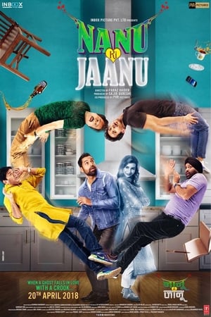 Nanu Ki Jaanu (2018) Movie | Hindi Full Movie HDRip – [400MB]