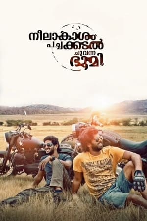Neelakasham Pachakadal Chuvanna Bhoomi (2013) Dubbed | Hindi Full Movie HDRip [1.4GB]