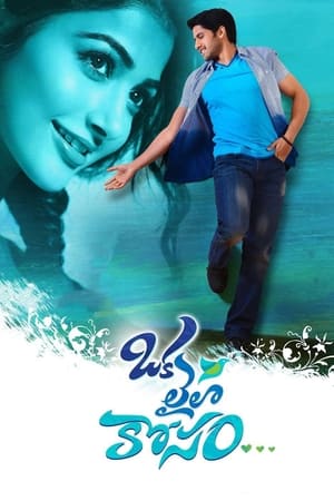 Oka Laila Kosam 2014 ( – Telugu) Dual Audio | Hindi Full Movie UnCut HDRip 500MB