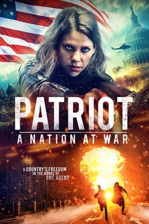 Patriot A Nation at War 2020 Dual Audio | Hindi Full Movie Web-DL [930MB]