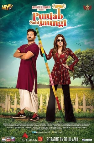Punjab Nahi Jaungi (2017) Movie | Hindi Full Movie HDTVRip - [450MB]