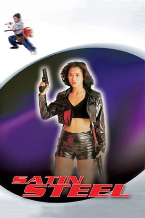 Satin Steel (1994) Dual Audio | Hindi Full Movie Web-DL 260MB