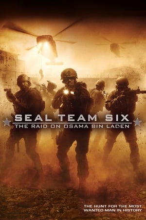 Seal Team Six: The Raid on Osama Bin Laden (2012) Dual Audio Full Movie | Hindi Full Movie BluRay - 1.3GB