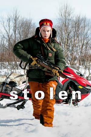 Stolen (2024) Dual Audio HDRip | Hindi Full Movie – 720p – 480p