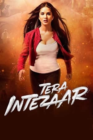 Tera Intezaar 2017 Movie | Hindi Full Movie HDRip x264 [850MB]
