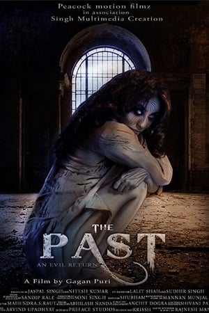 The Past 2018 Movie | Hindi Full Movie HDRip x264 [940MB]