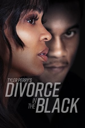 Tyler Perry’s Divorce in the Black (2024) Dual Audio HDRip | Hindi Full Movie – 720p – 480p