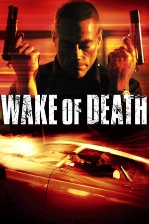 Wake of Death 2004 Dual Audio | Hindi Full Movie BluRay 300MB