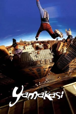 Yamakasi 2001 Dual Audio | Hindi Full Movie BluRay 300MB